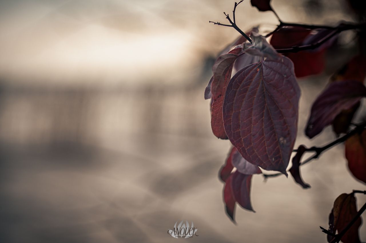 Photographie de paysage au Creux du Van