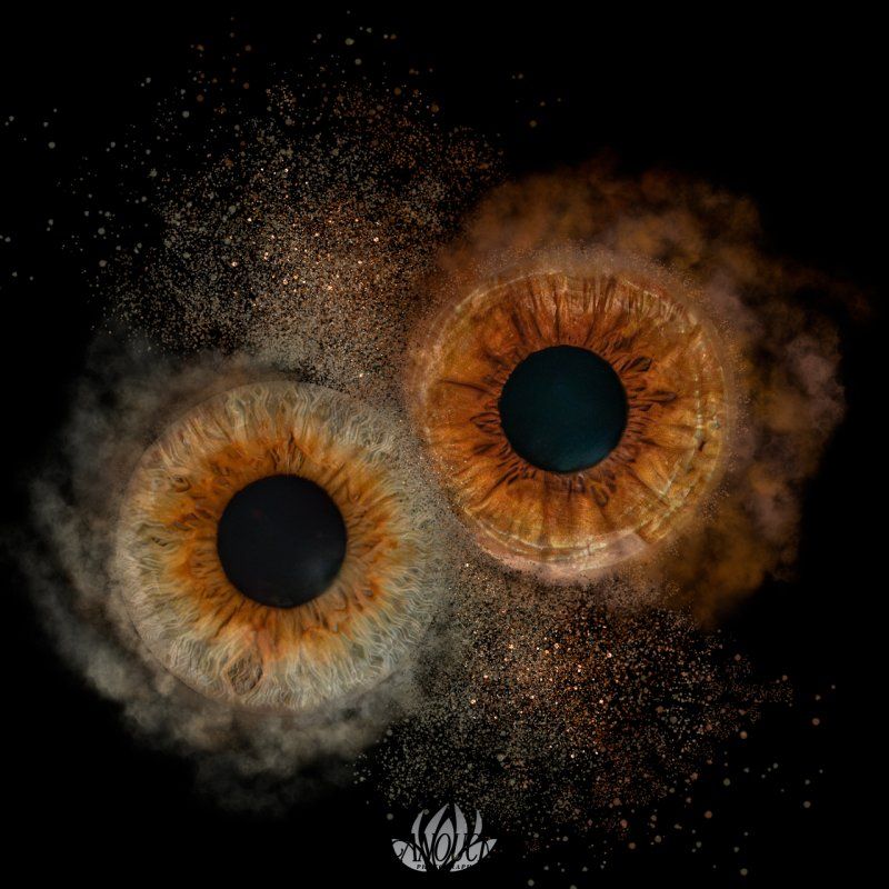 Photographie iris à Neuchâtel pour un cadeau personnalisé