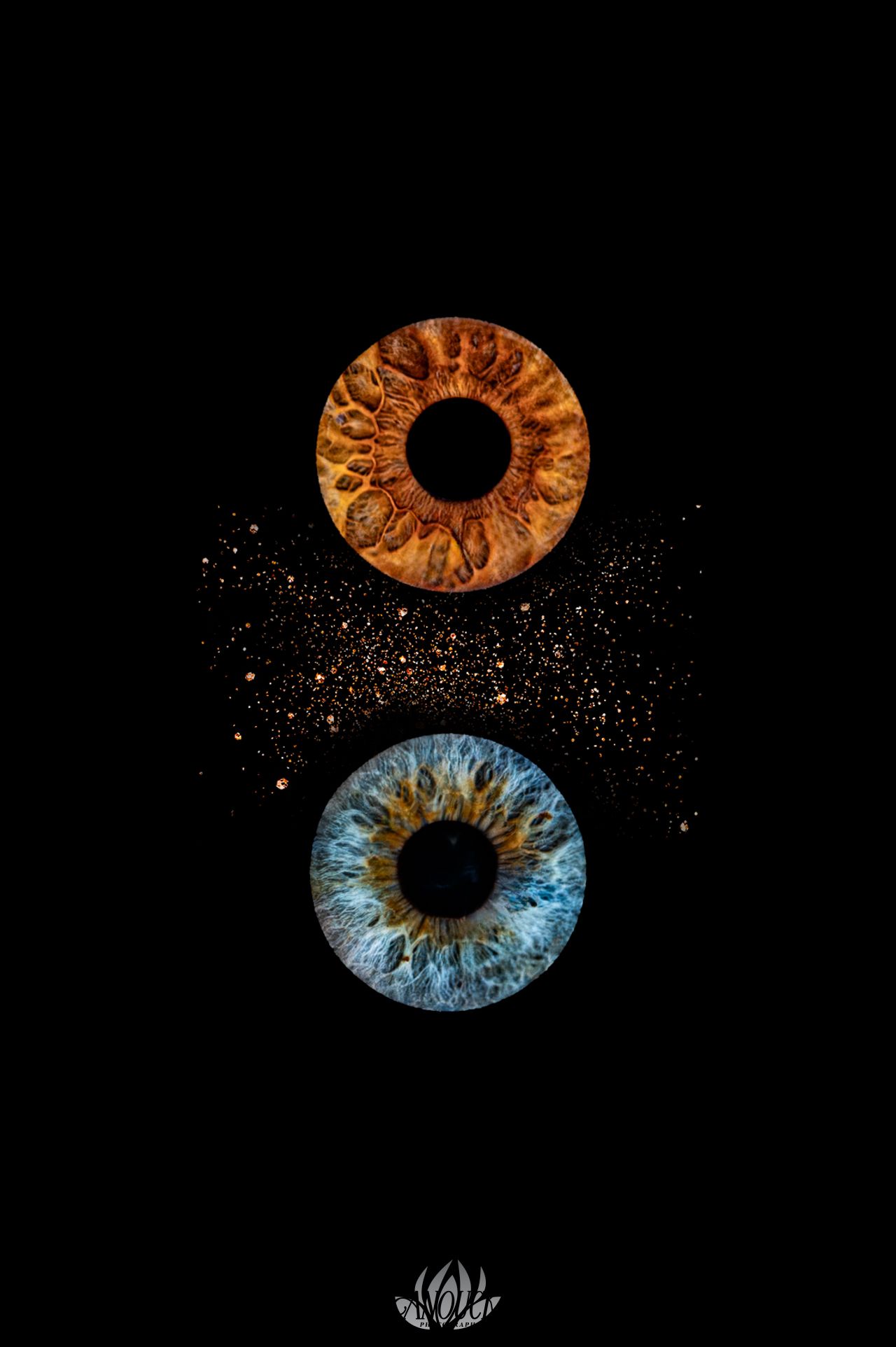 Photographie d’iris artistique réalisée à St-Aubin-Sauges, canton de Neuchâtel