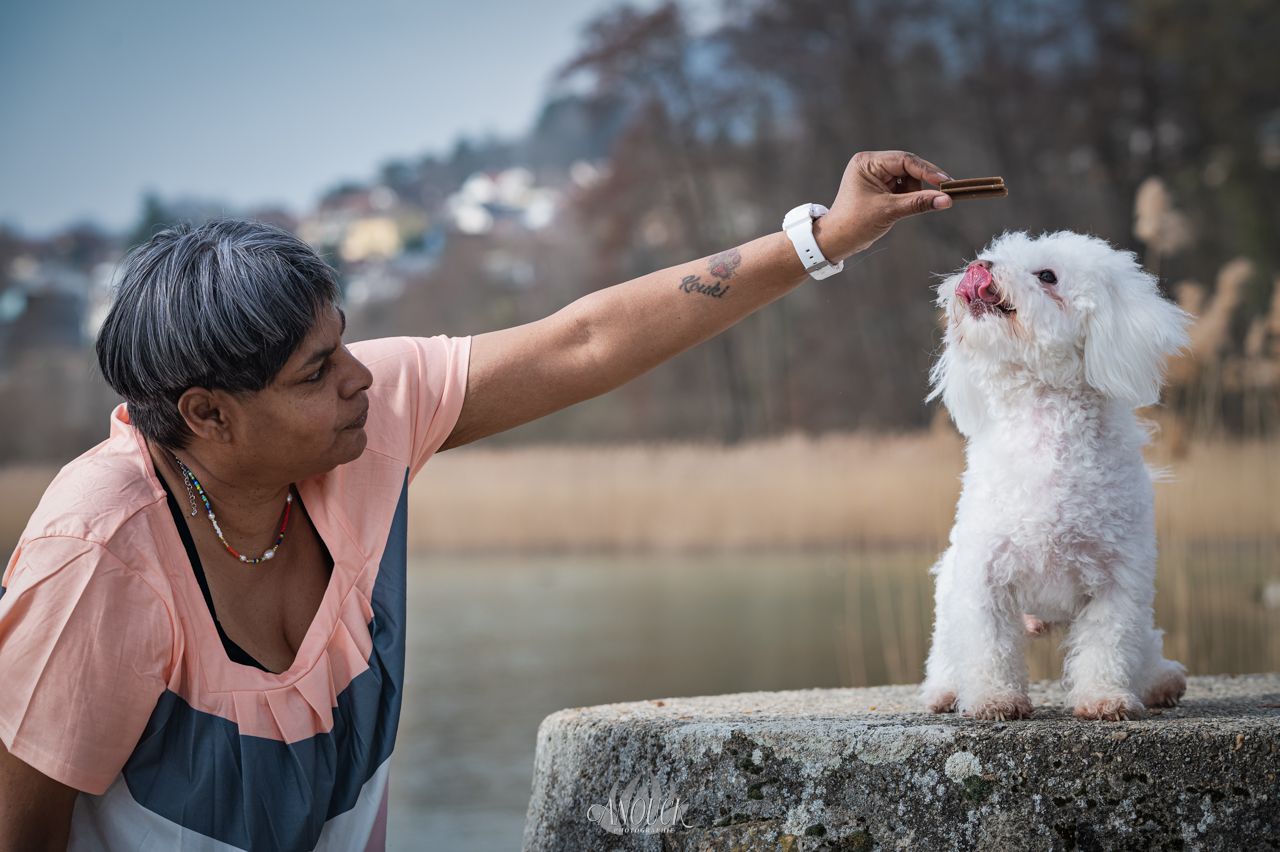 Séance photo animaux de compagnie réalisée au bord du lac de Neuchatel